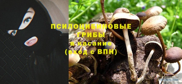 МДПВ Магас