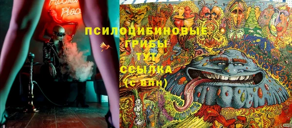 МДПВ Магас