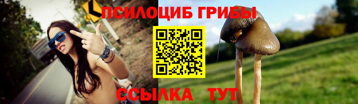Псилоцибиновые грибы Psilocybe Миасс
